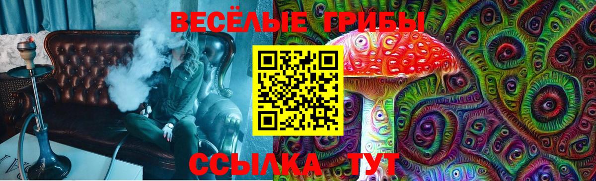 Соль-Илецк  Псилоцибиновые грибы GOLDEN TEACHER  Вход с VPN  Псилоцибиновые грибы прущие грибы 